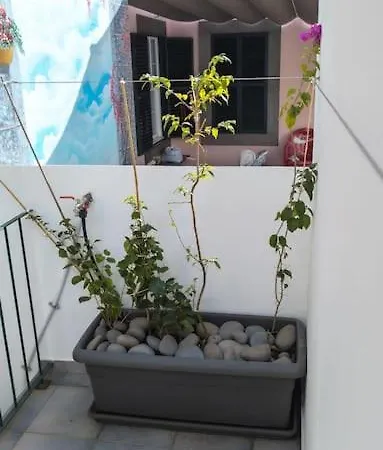 Ilha Bonita Casa de Férias